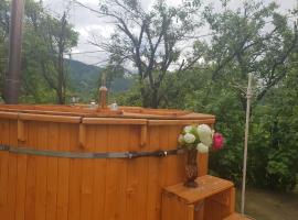 Cabana Zimbru mica, ξενοδοχείο σε Băile Borşa