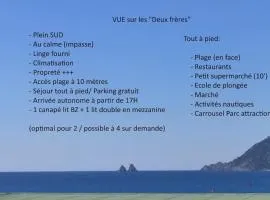 Le "Petit Chic" , Accès plage direct , Exposition Sud , Calme , Climatisation