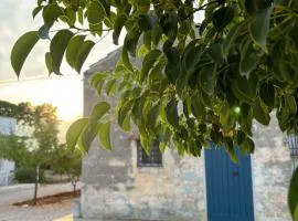 Tenuta Villa Vittoria