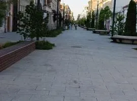 Apartament Central 2