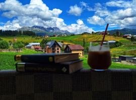 Tsvirmi Zviadi's guesthouse, hotel in Mestia