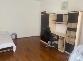 Apartament Ultracentral cu o camera