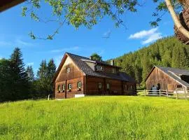 Ferienhaus Hinterhabneralm