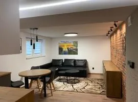 Apartament M1 w centrum Wiela