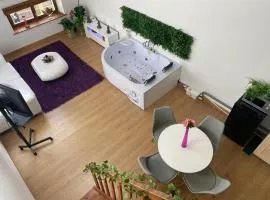 My Love Room avec balnéo privative & déco romantique by BoookingFuté