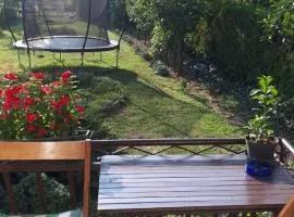 Guest house Limes