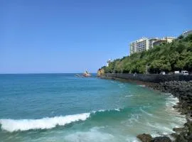 biarritz cote des basques VUE SUR MER