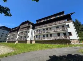 Apartmán pod Prokopem