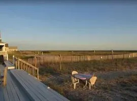 Fresh and Crisp Pet Friendly Studio