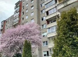 Baltijos Apartment