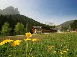 Steinerhof, hotel in Braies