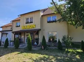 Pensiunea Baron Bazna