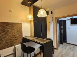 Apartament Kochanowskiego przy Uniwersytecie