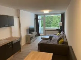 Apartment 3 502