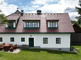 Stein im Holz