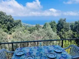 L'Ortensia del Poggio