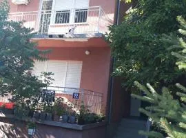 Apartmani Trifunović 2