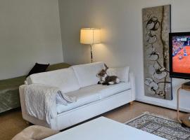 Himoksen naapuri, A3, resorts de esqu&iacute; en J&auml;ms&auml;