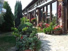 Hotel Aqua Etno Dvorac, hotel v destinaci Paracin