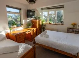 Quiet New Forest attic room den