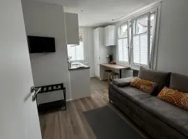 Rheinblick Ferienwohnung