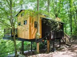 Treetop Hideaways: The Elements Treehouse