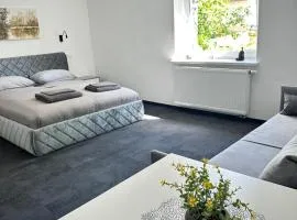 SILVIA apartment 109