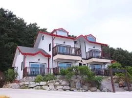 Uljin Blue Ara CD pension