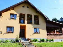 Casa La Marin Borșa