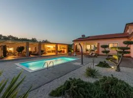 Beautiful Villa Sveta Anna with jacuzzi in Tinjan