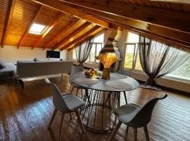 Marios Family House 2