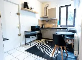 Joli Studio Joinville bord de marne 15m de Paris