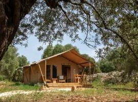 Domus Olea Glamping