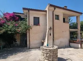 La BouganVille
