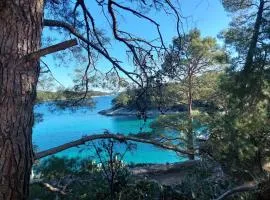 Apartment in Mali Losinj with terrace, air conditioning, WiFi, washing machine 4913-1