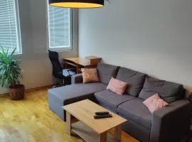 Apartman Aleksic