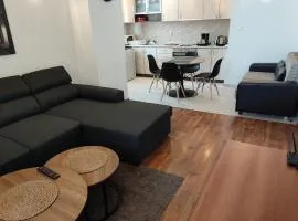 Family 2 bed Apartment in Bansko