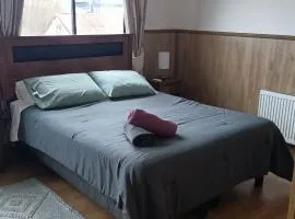 Hotel Centrico 734