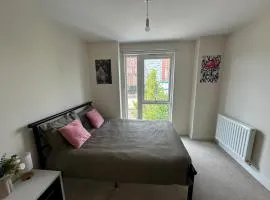 Peaceful shared flat 30mins Central London