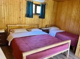 Kolsay Tanbalytas Wood panel house