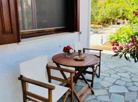 Ioanna's sweet & cozy apartment with garden view