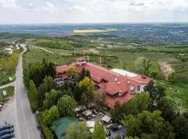 Casa Seciu