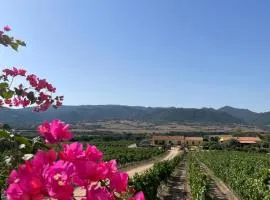 Agriturismo Campesi casale tra le vigne