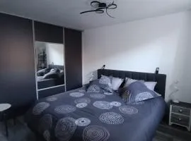 Superbe appartement F3 situé au centre ville