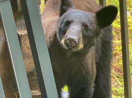 Bears Among Us, hotel in Gatlinburg