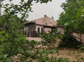 La Rosa antica dell'Etna