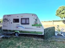 Alojamiento Caravana Oliveres Petita