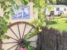 Gîte pura vida