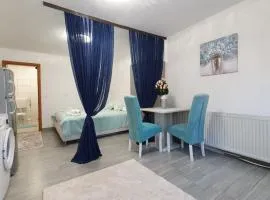 Studio Apartman Mint Bihac