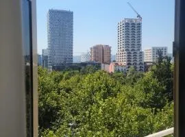 Center in Center apartament Tirana